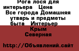 Рога лося для интерьера › Цена ­ 3 300 - Все города Домашняя утварь и предметы быта » Интерьер   . Крым,Северная